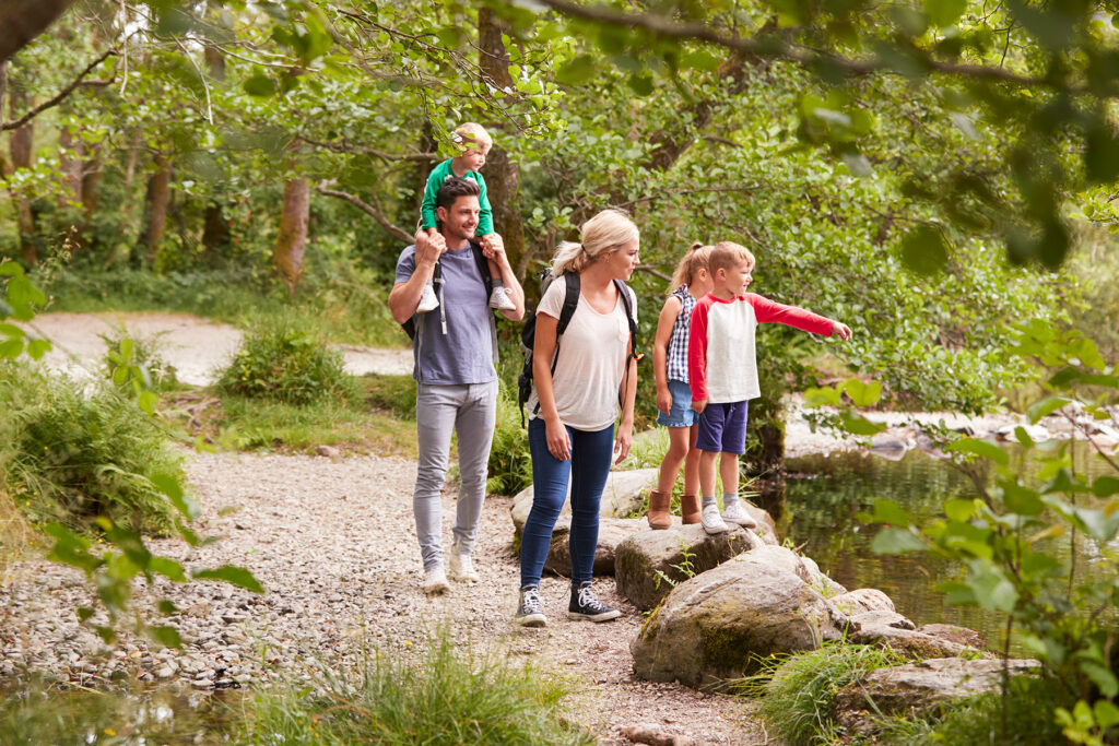 Trail Time: 3 Must-Hike Spots Near D Hwy Storage